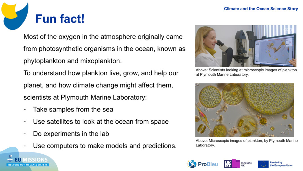 Most of the oxygen in the atmosphere originally came from photosynthetic organisms in the ocean, known as phytoplankton and 