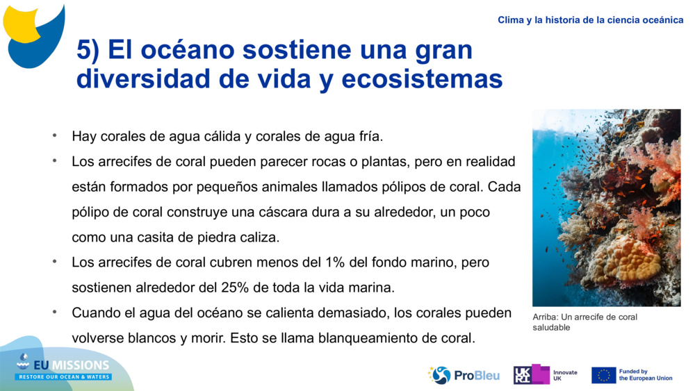 5) El océano sostiene una gran diversidad de vida y ecosistemas