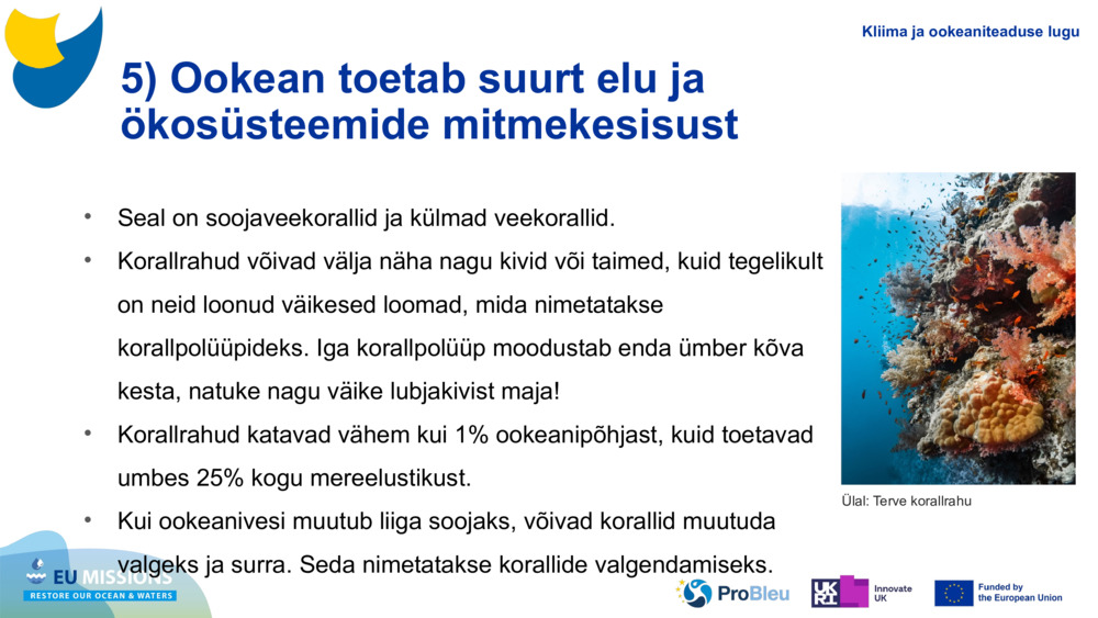 5) Ookean toetab suurt elu ja ökosüsteemide mitmekesisust