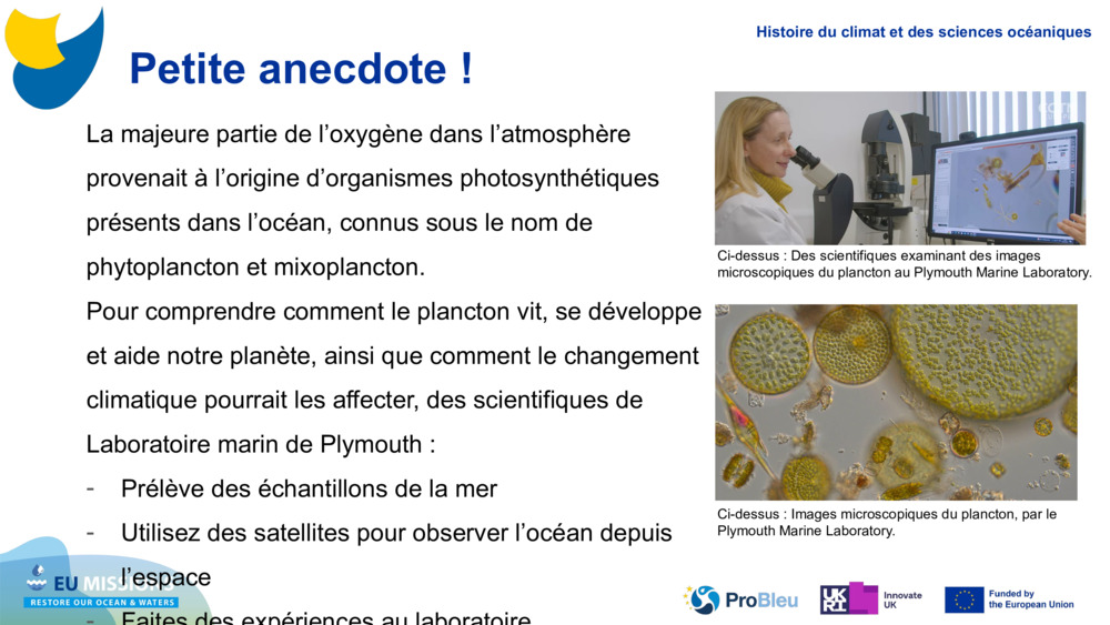 La majeure partie de l’oxygène dans l’atmosphère provenait à l’origine d’organismes photosynthétiques présents dans l’océan, connus sous le nom de phytoplancton et 