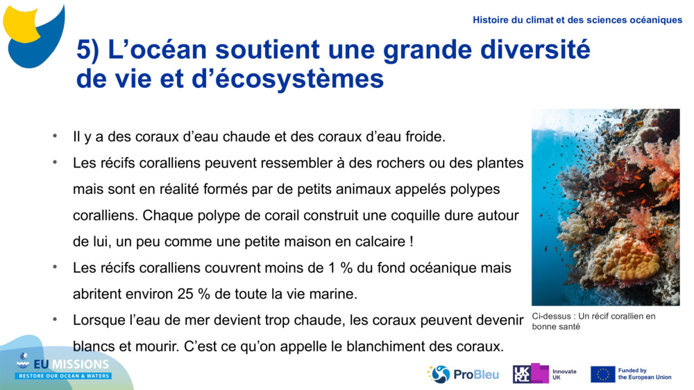 5) L’océan soutient une grande diversité de vie et d’écosystèmes