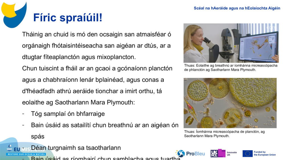 Tháinig an chuid is mó den ocsaigin san atmaisféar ó orgánaigh fhótaisintéiseacha san aigéan ar dtús, ar a dtugtar fíteaplanctón agus 