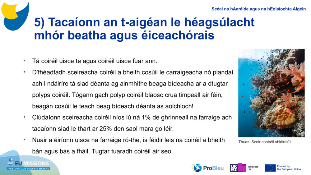 5) Tacaíonn an t-aigéan le héagsúlacht mhór beatha agus éiceachórais
