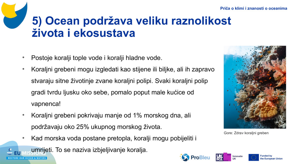 5) Ocean podržava veliku raznolikost života i ekosustava