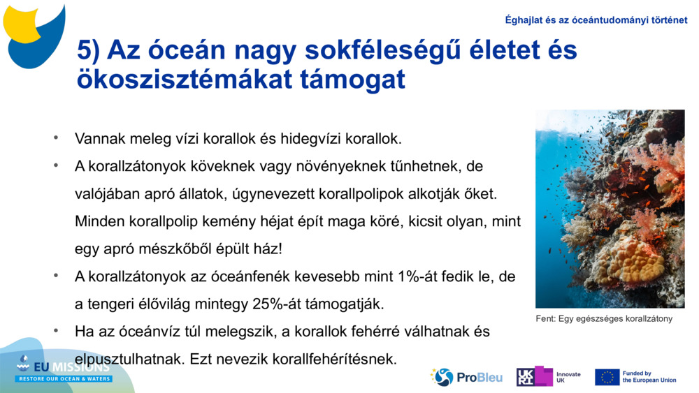 5) Az óceán nagy sokféleségű életet és ökoszisztémákat támogat