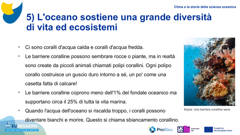 5) L'oceano sostiene una grande diversità di vita ed ecosistemi