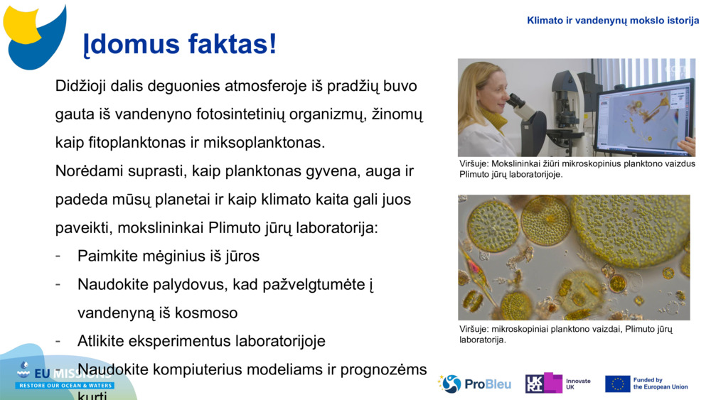 Didžioji dalis deguonies atmosferoje iš pradžių buvo gauta iš vandenyno fotosintetinių organizmų, žinomų kaip fitoplanktonas ir 