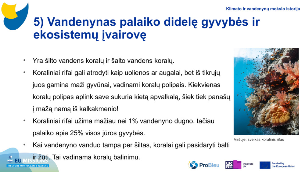 5) Vandenynas palaiko didelę gyvybės ir ekosistemų įvairovę