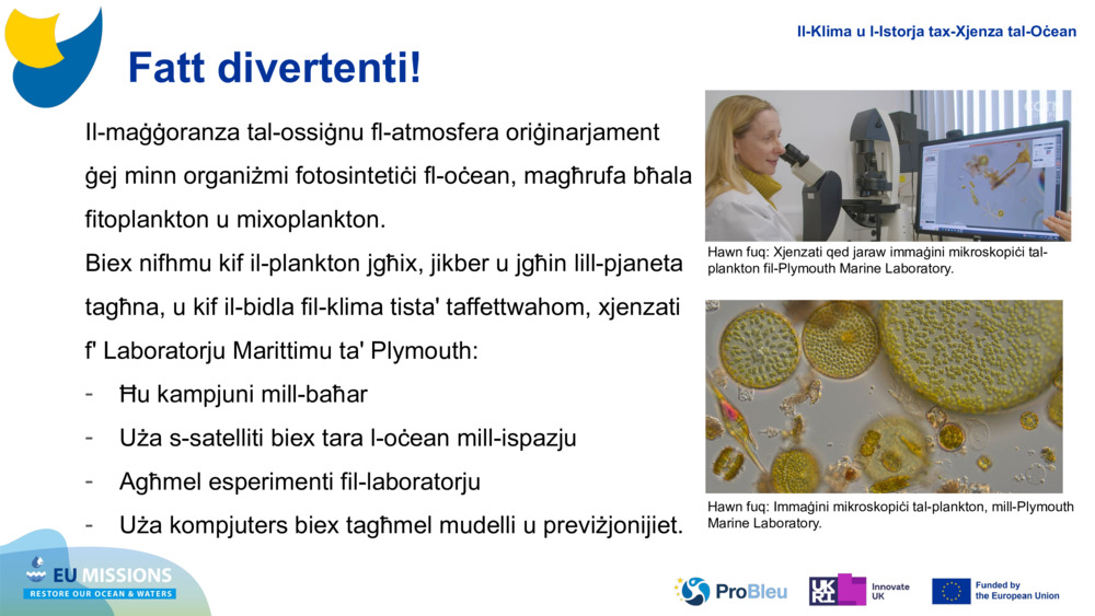 Il-maġġoranza tal-ossiġnu fl-atmosfera oriġinarjament ġej minn organiżmi fotosintetiċi fl-oċean, magħrufa bħala fitoplankton u 
