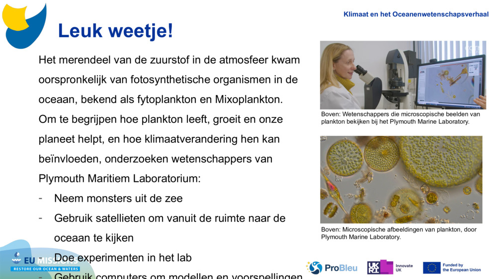 Het merendeel van de zuurstof in de atmosfeer kwam oorspronkelijk van fotosynthetische organismen in de oceaan, bekend als fytoplankton en 