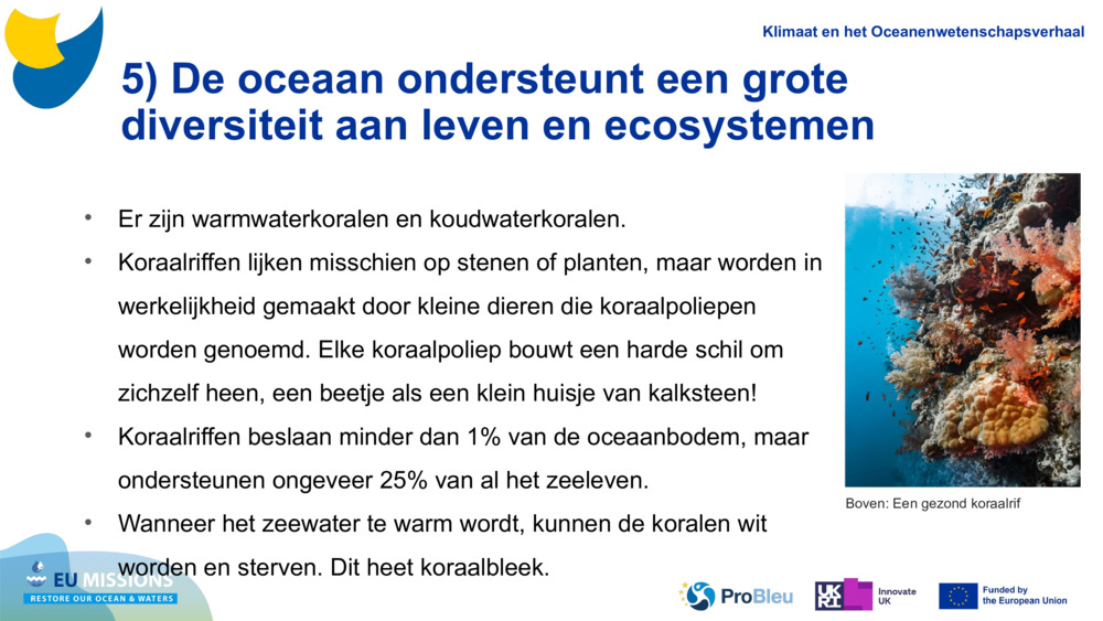 5) De oceaan ondersteunt een grote diversiteit aan leven en ecosystemen