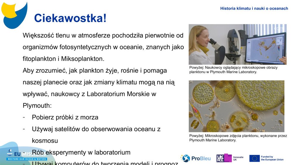 Większość tlenu w atmosferze pochodziła pierwotnie od organizmów fotosyntetycznych w oceanie, znanych jako fitoplankton i 