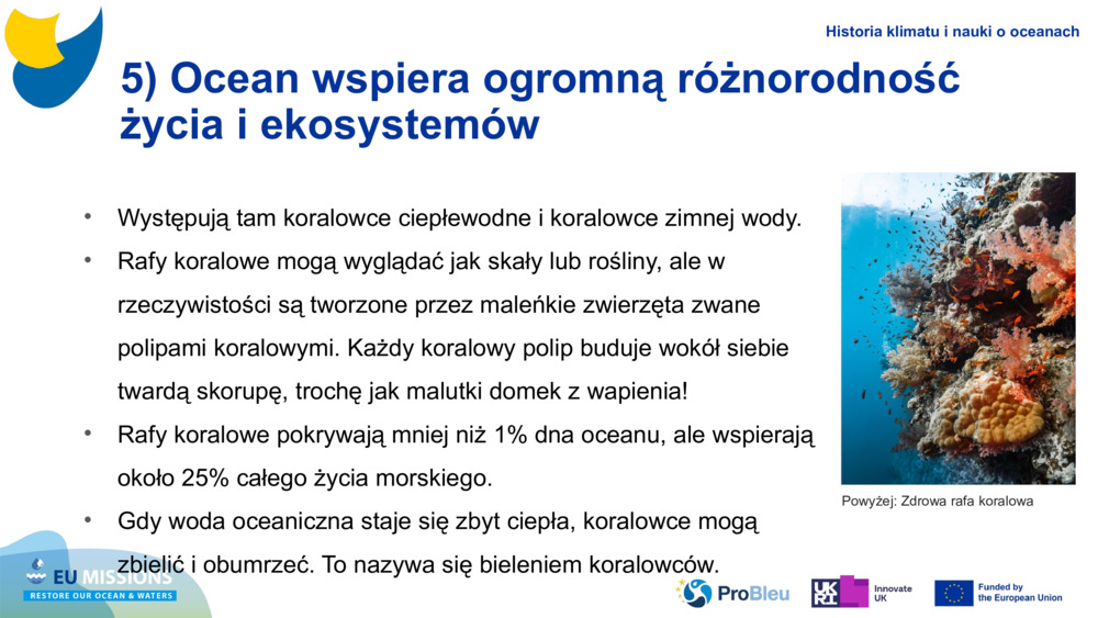 5) Ocean wspiera ogromną różnorodność życia i ekosystemów