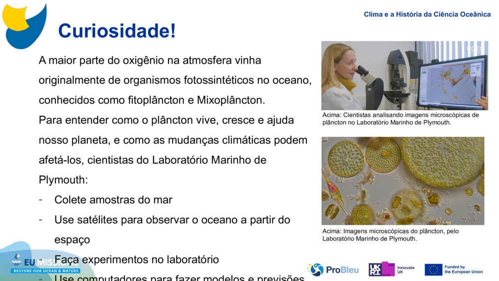 A maior parte do oxigênio na atmosfera vinha originalmente de organismos fotossintéticos no oceano, conhecidos como fitoplâncton e 