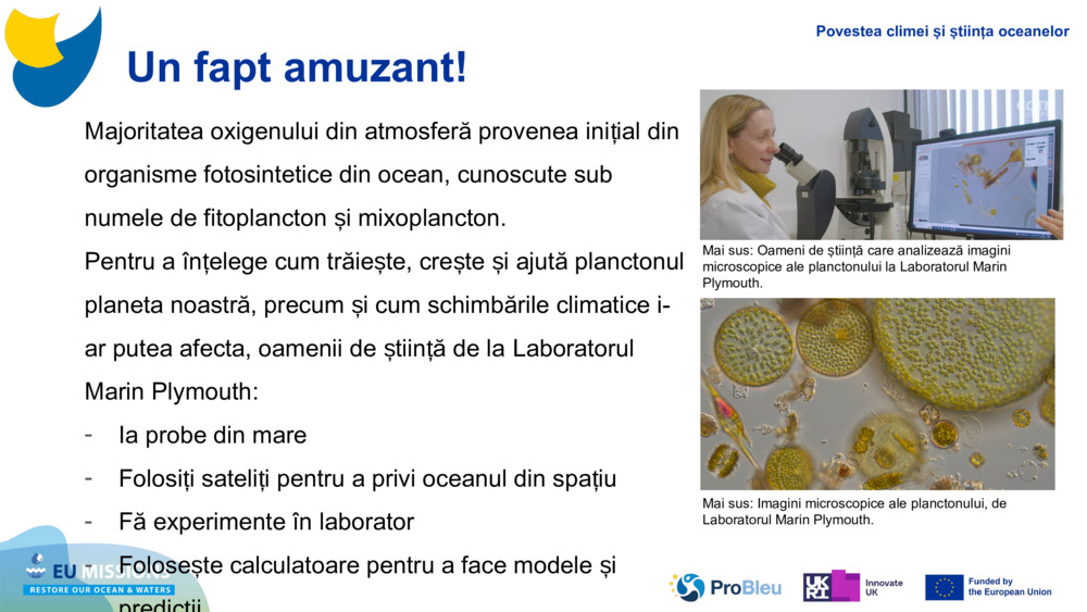Majoritatea oxigenului din atmosferă provenea inițial din organisme fotosintetice din ocean, cunoscute sub numele de fitoplancton și 