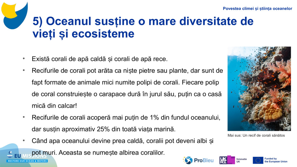 5) Oceanul susține o mare diversitate de vieți și ecosisteme