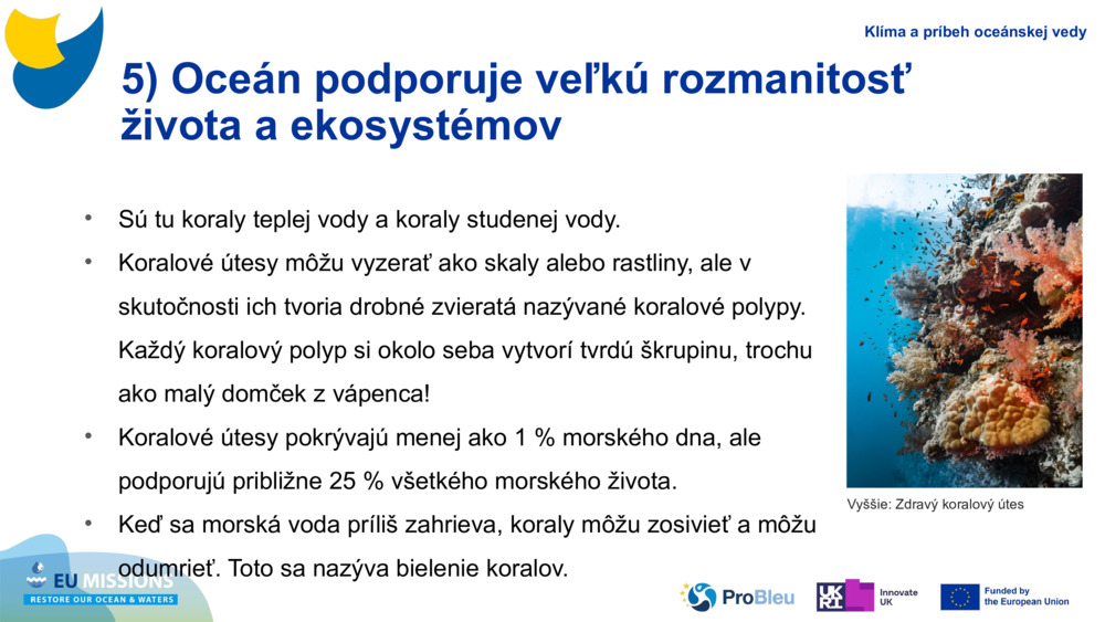 5) Oceán podporuje veľkú rozmanitosť života a ekosystémov