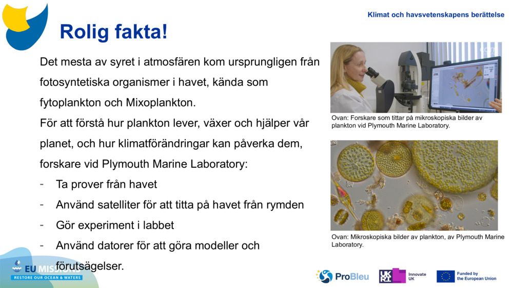 Det mesta av syret i atmosfären kom ursprungligen från fotosyntetiska organismer i havet, kända som fytoplankton och 