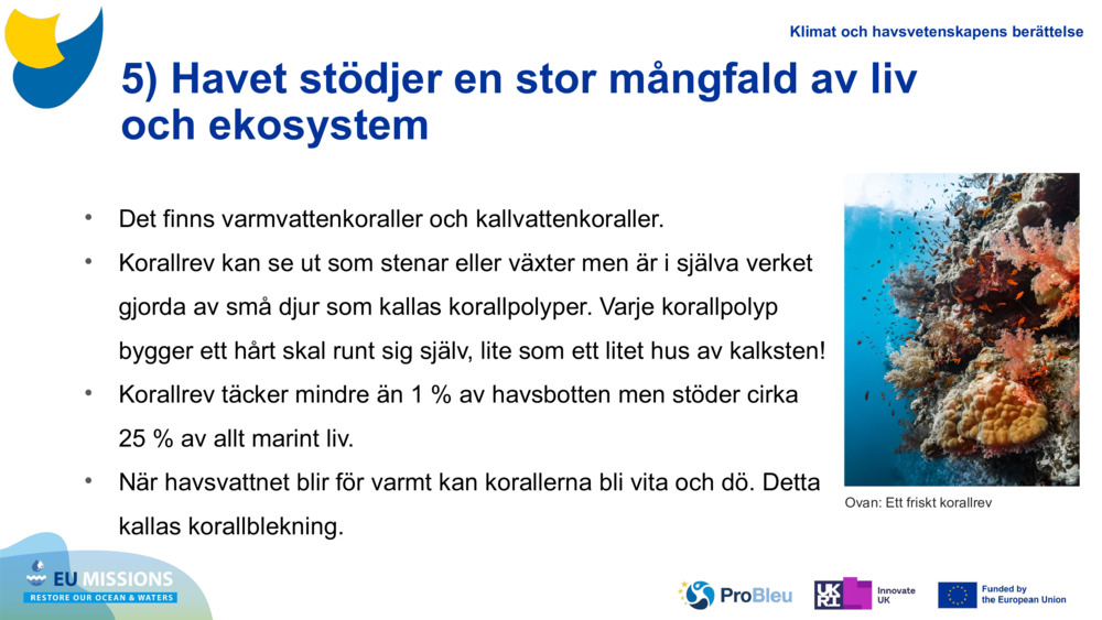 5) Havet stödjer en stor mångfald av liv och ekosystem