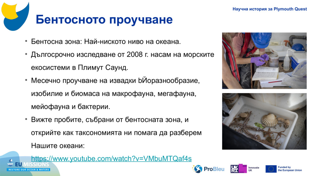 Бентосното проучване