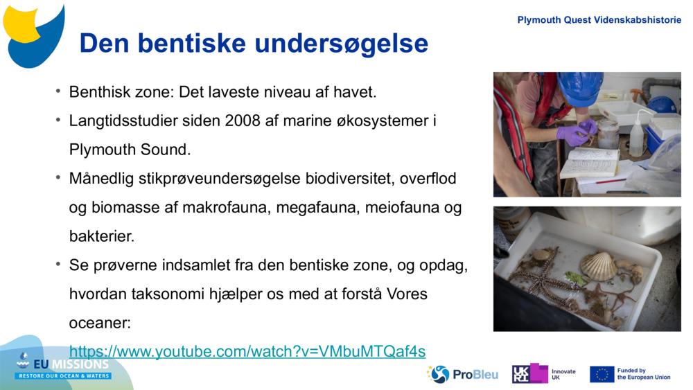 Den bentiske undersøgelse