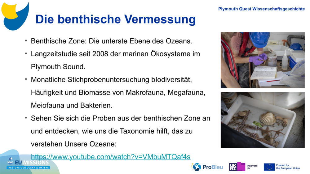 Die benthische Vermessung