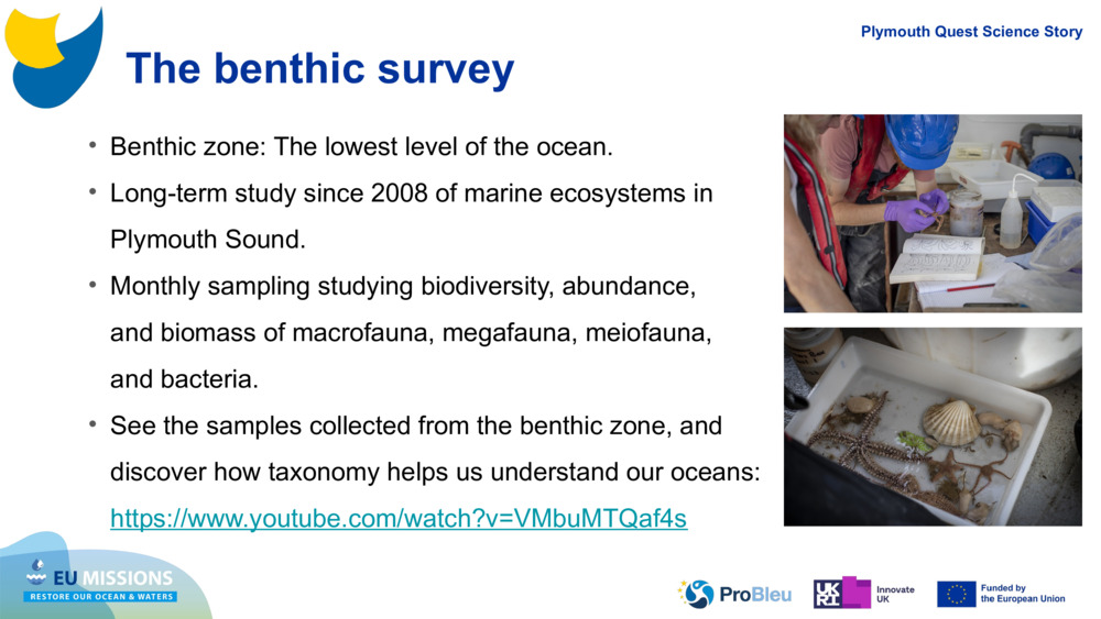 The benthic survey