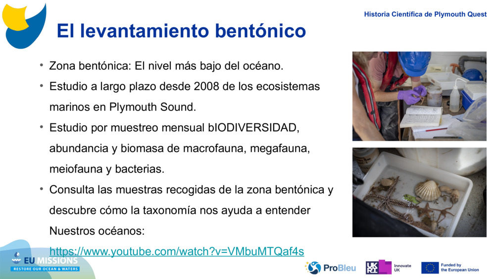 El levantamiento bentónico