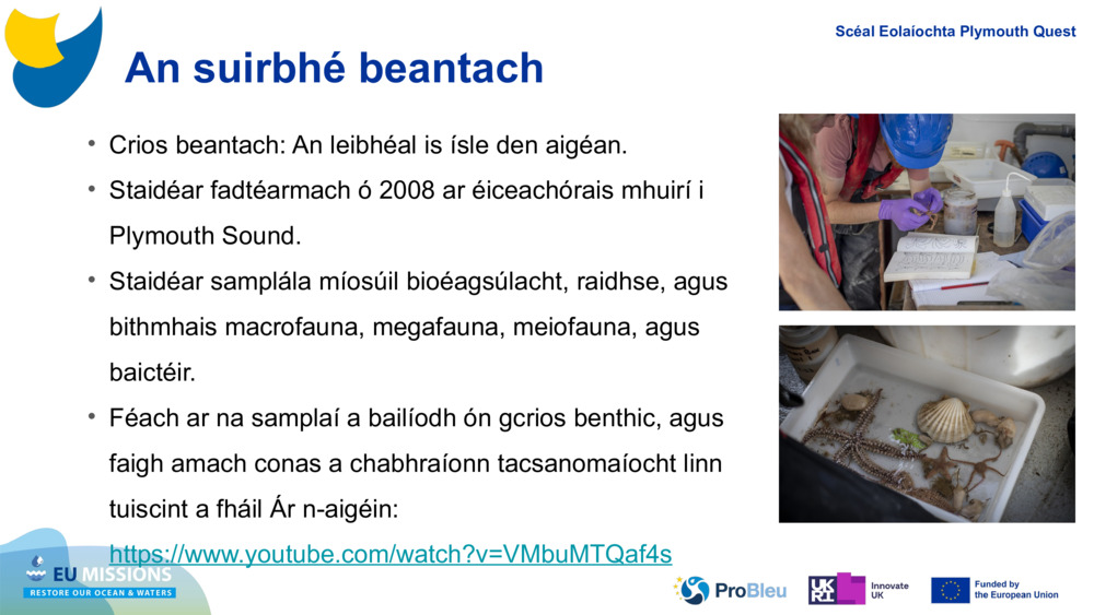 An suirbhé beantach