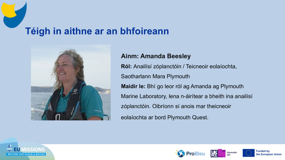 Téigh in aithne ar an bhfoireann