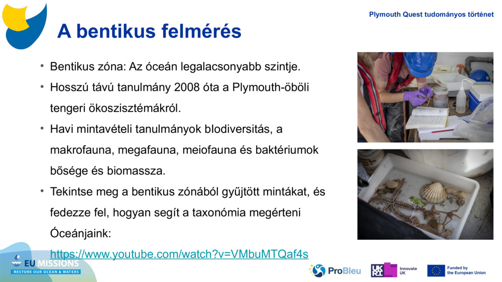 A bentikus felmérés