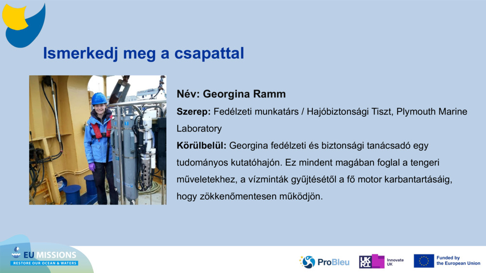 Ismerkedj meg a csapattal