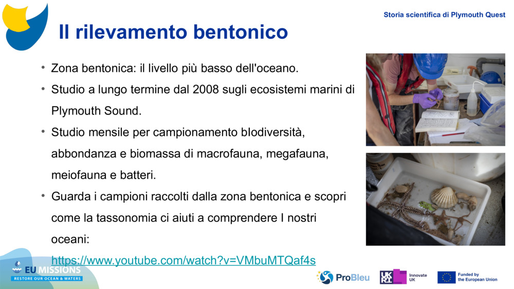 Il rilevamento bentonico