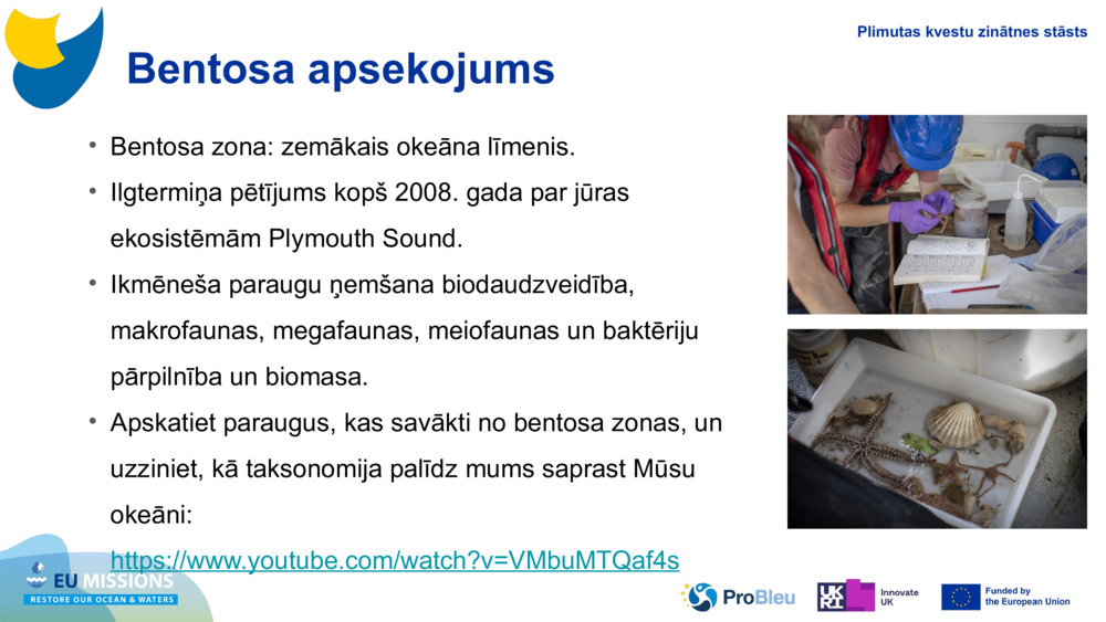 Bentosa apsekojums