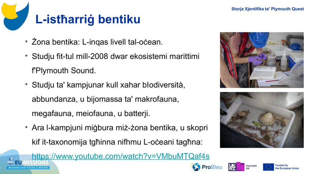 L-istħarriġ bentiku