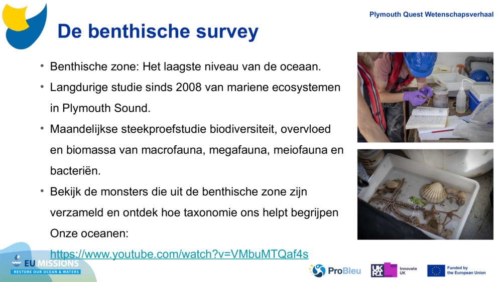 De benthische survey