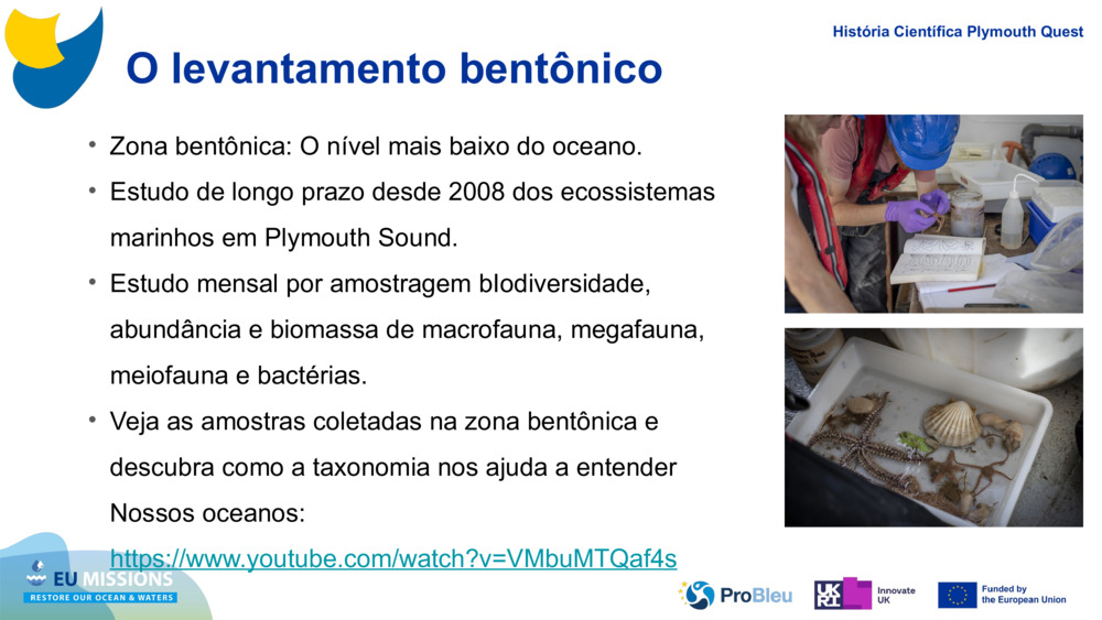 O levantamento bentônico