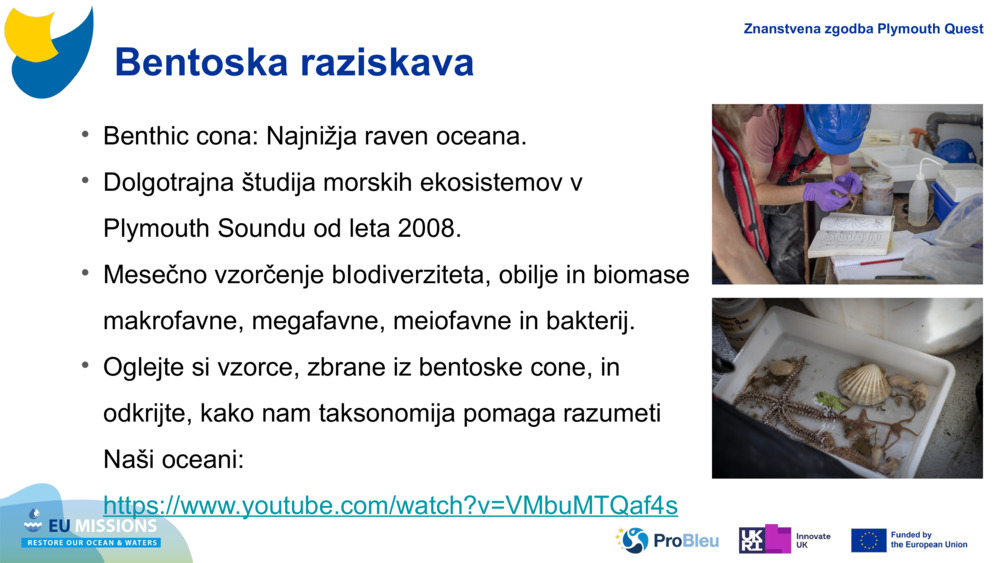 Bentoska raziskava