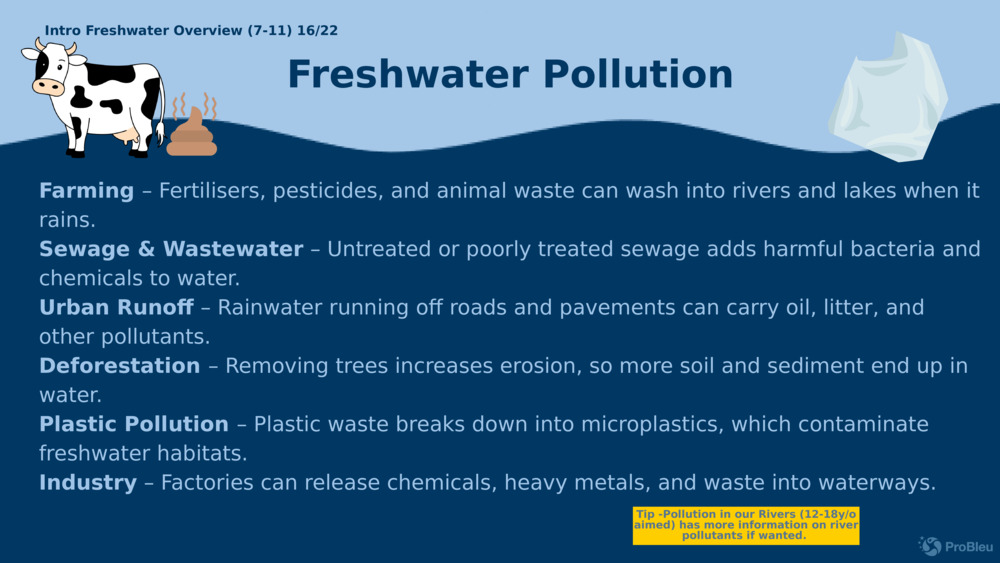 Įvadas Gėlo vandens apžvalga (7-11) 16/22