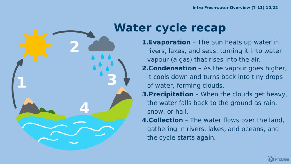Įvadas Gėlo vandens apžvalga (7-11) 10/22