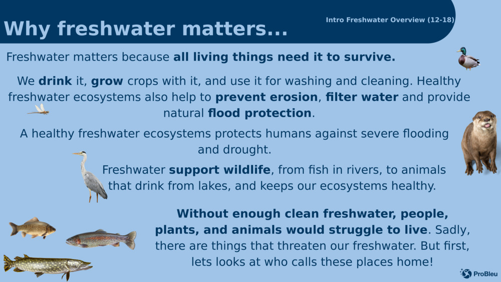 Įvadas Gėlo vandens apžvalga (12-18) 14/24
