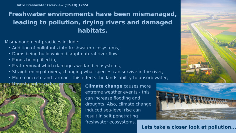 Įvadas Gėlo vandens apžvalga (12-18) 17/24