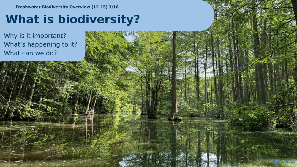 What is biodiversity?