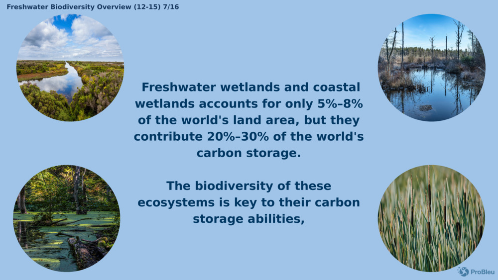  Freshwater wetlands and coastal wetlands accounts for only 5%–8% of the world's land area, but they contribute 20%–30% of the world's carbon storage.